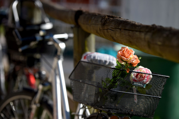 Reportage 22